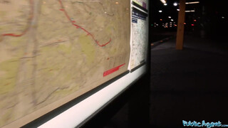 Public Agent - lost chick at the station